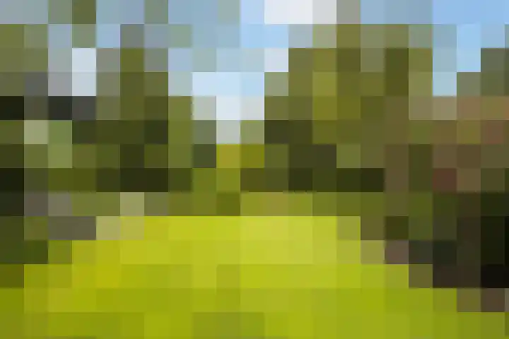 Oude Veerweg 12 Zwolle thumbnail 19