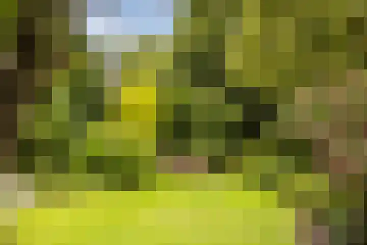 Oude Veerweg 12 Zwolle thumbnail 20