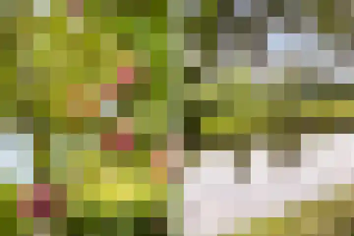 Oude Veerweg 12 Zwolle thumbnail 22