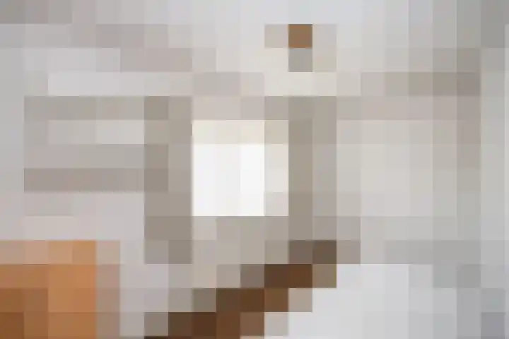 Oude Veerweg 12 Zwolle thumbnail 25