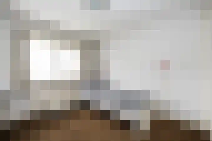 Oude Veerweg 12 Zwolle thumbnail 26