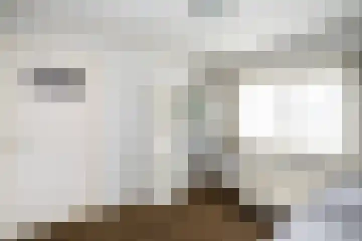 Oude Veerweg 12 Zwolle thumbnail 27