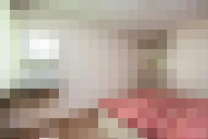 Oude Veerweg 12 Zwolle thumbnail 29