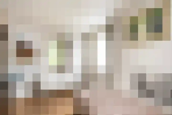 Oude Veerweg 12 Zwolle thumbnail 30
