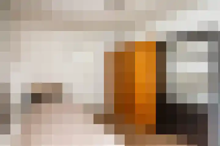 Oude Veerweg 12 Zwolle thumbnail 31