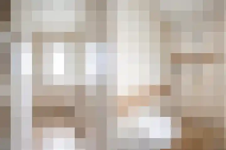 Oude Veerweg 12 Zwolle thumbnail 32