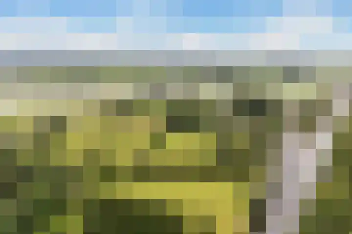 Oude Veerweg 12 Zwolle thumbnail 34