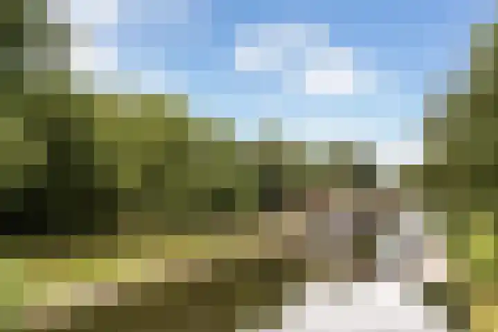 Oude Veerweg 12 Zwolle thumbnail 37