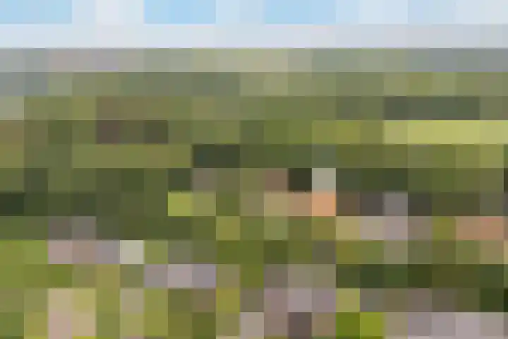 Oude Veerweg 12 Zwolle thumbnail 38