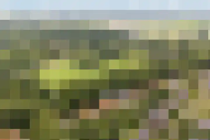 Oude Veerweg 12 Zwolle thumbnail 39