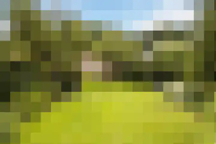 Oude Veerweg 12 Zwolle thumbnail 5
