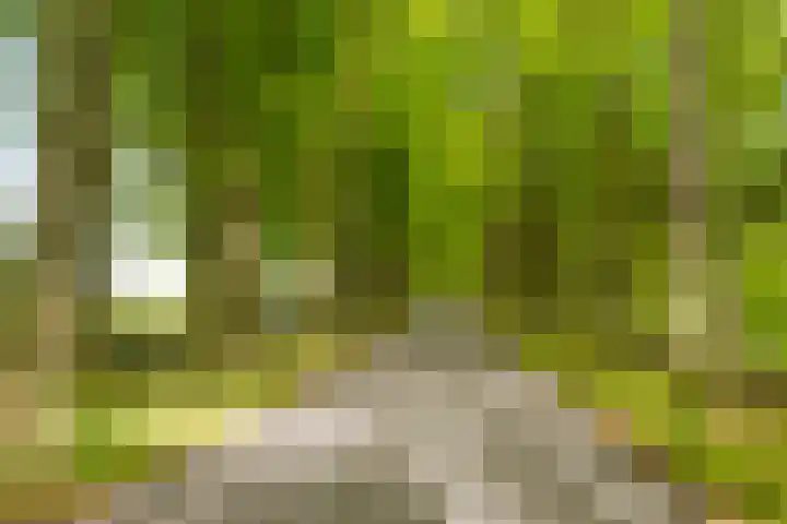 Oude Veerweg 12 Zwolle thumbnail 6