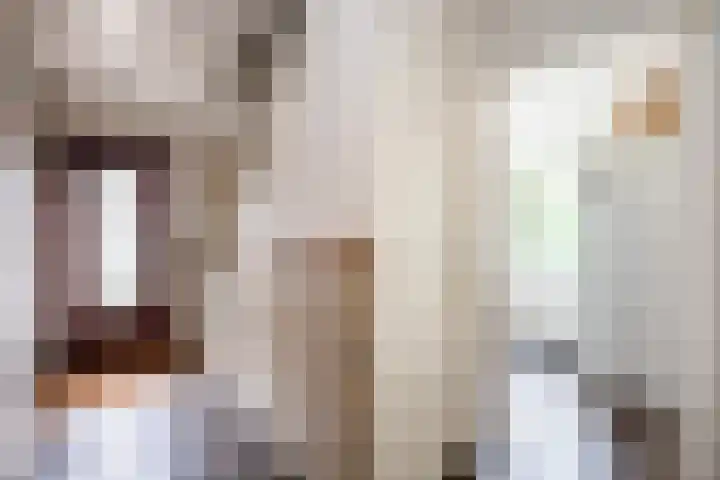 Oude Veerweg 12 Zwolle thumbnail 9