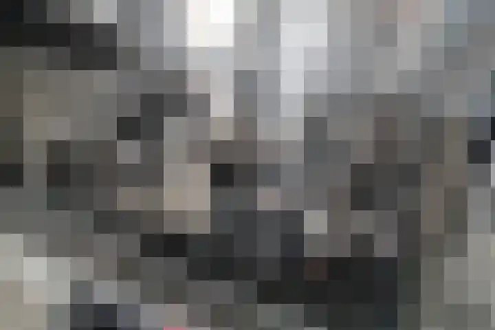 Oude Veerweg 56 Zwolle thumbnail 21