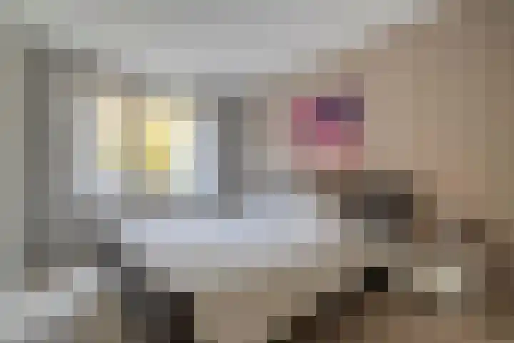 Oude Veerweg 56 Zwolle thumbnail 26