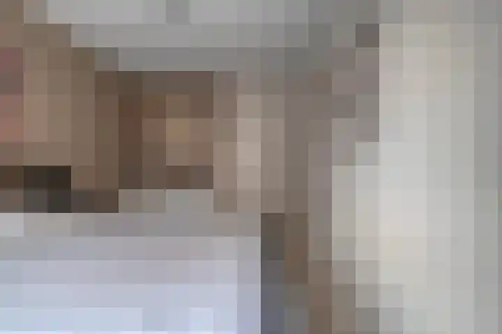 Oude Veerweg 56 Zwolle thumbnail 27