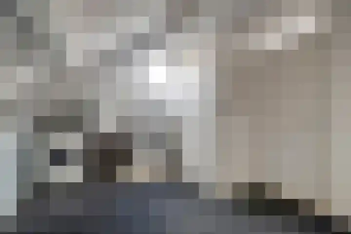 Oude Veerweg 56 Zwolle thumbnail 33