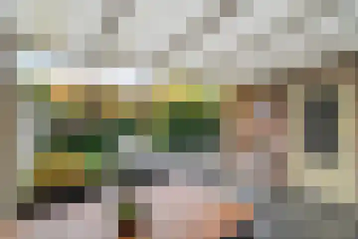 Oude Veerweg 56 Zwolle thumbnail 39