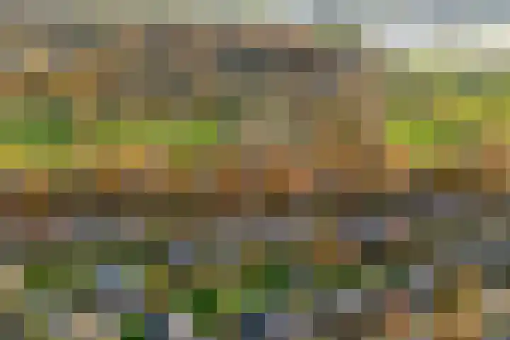 Oude Veerweg 56 Zwolle thumbnail 4