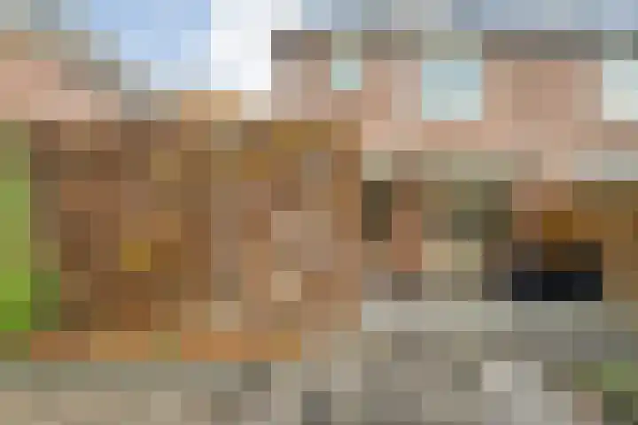 Oude Veerweg 56 Zwolle thumbnail 40