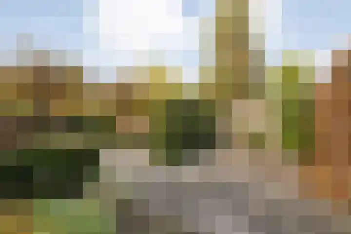 Oude Veerweg 56 Zwolle thumbnail 41
