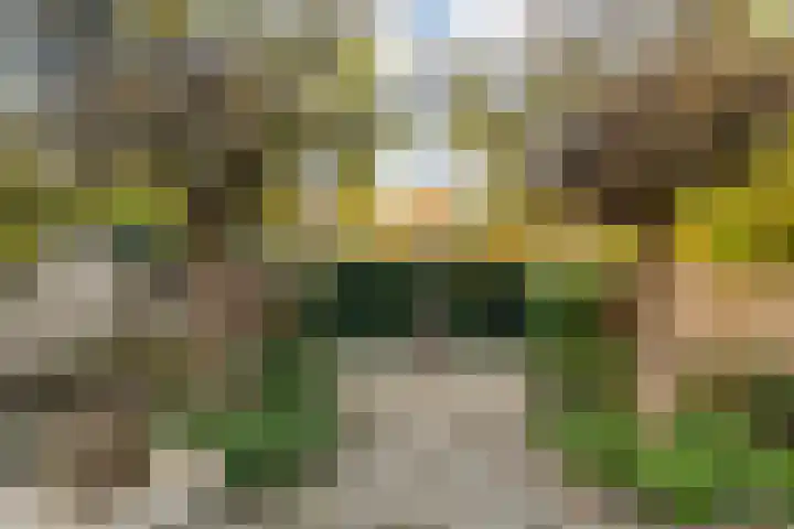 Oude Veerweg 56 Zwolle thumbnail 42