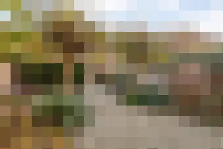 Oude Veerweg 56 Zwolle thumbnail 43