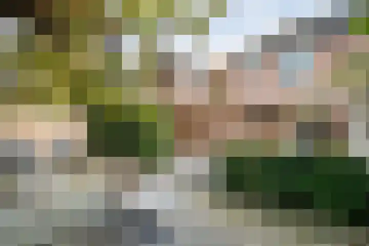 Oude Veerweg 56 Zwolle thumbnail 45