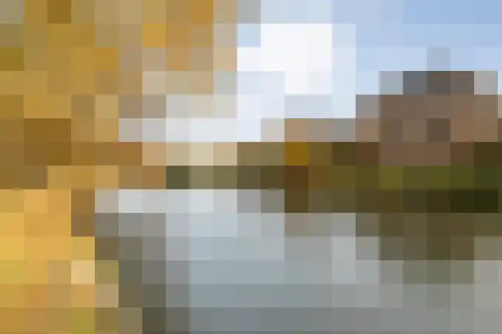Oude Veerweg 56 Zwolle thumbnail 46