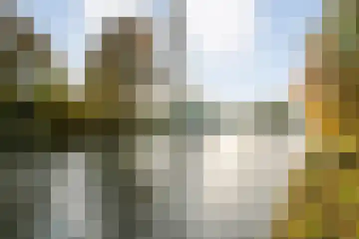 Oude Veerweg 56 Zwolle thumbnail 47