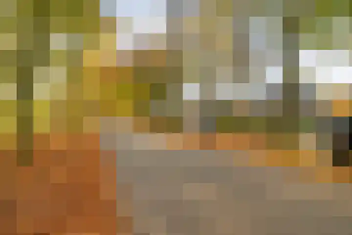 Oude Veerweg 56 Zwolle thumbnail 5