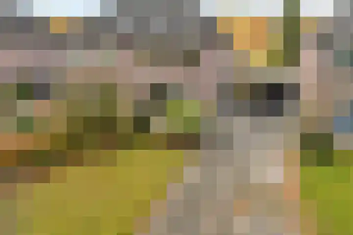 Oude Veerweg 56 Zwolle thumbnail 6
