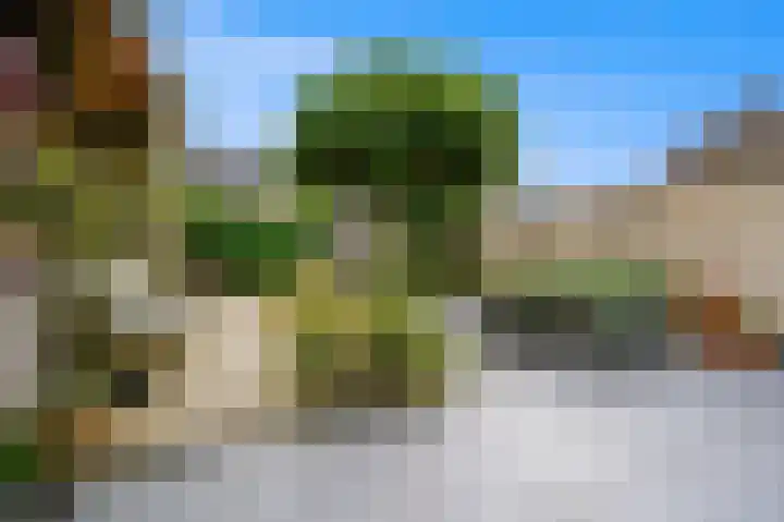 Oude Veiling 1 Den Hoorn thumbnail 10