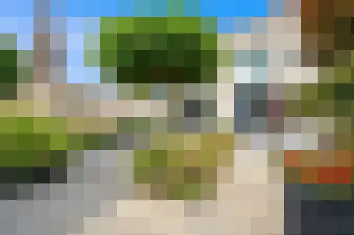 Oude Veiling 1 Den Hoorn thumbnail 11