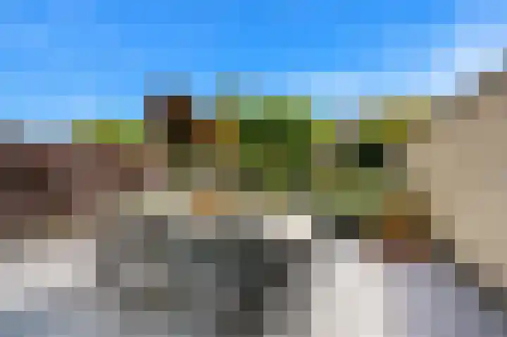 Oude Veiling 1 Den Hoorn thumbnail 12