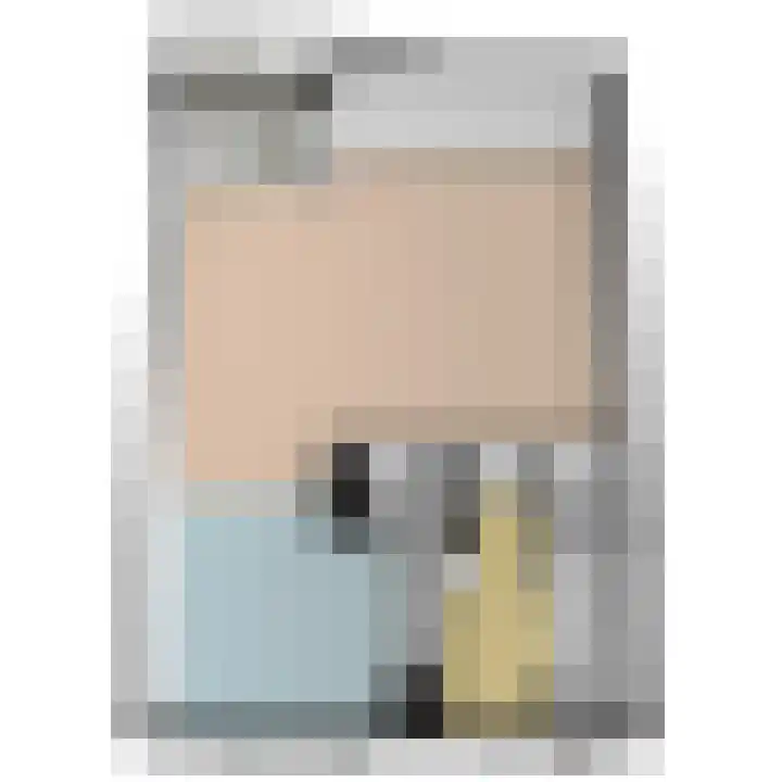 Oude Veiling 1 Den Hoorn thumbnail 15