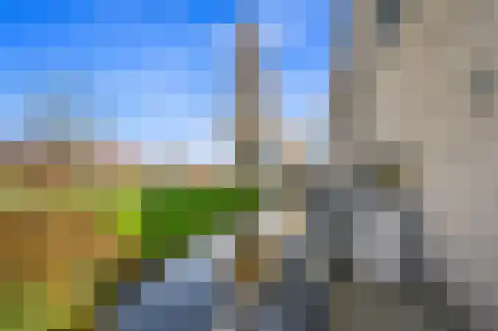 Oude Veiling 1 Den Hoorn thumbnail 21