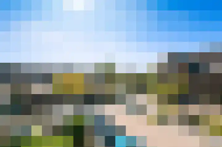 Oude Veiling 1 Den Hoorn thumbnail 26