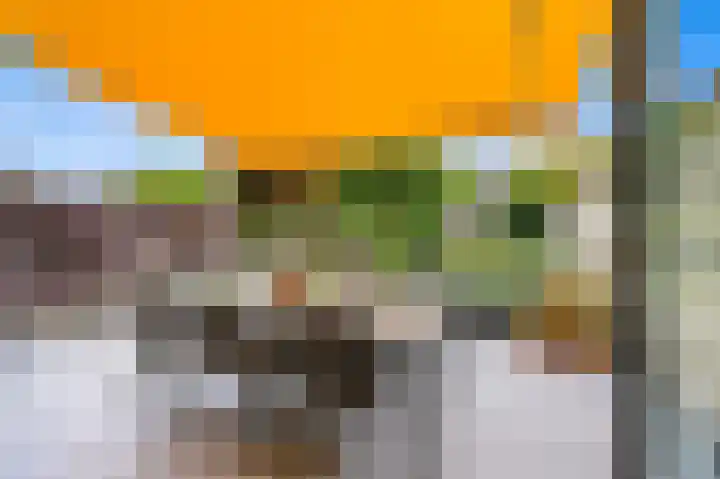 Oude Veiling 1 Den Hoorn thumbnail 27
