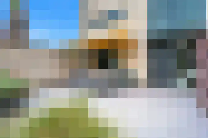 Oude Veiling 1 Den Hoorn thumbnail 28