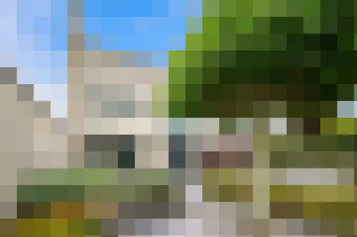 Oude Veiling 1 Den Hoorn thumbnail 30