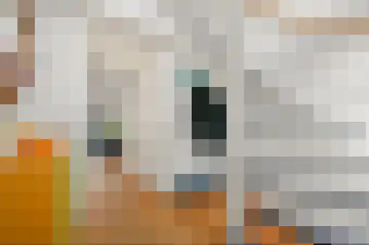Oude Veiling 1 Den Hoorn thumbnail 33