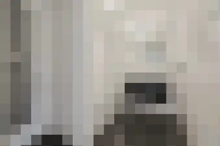 Oude Veiling 1 Den Hoorn thumbnail 39