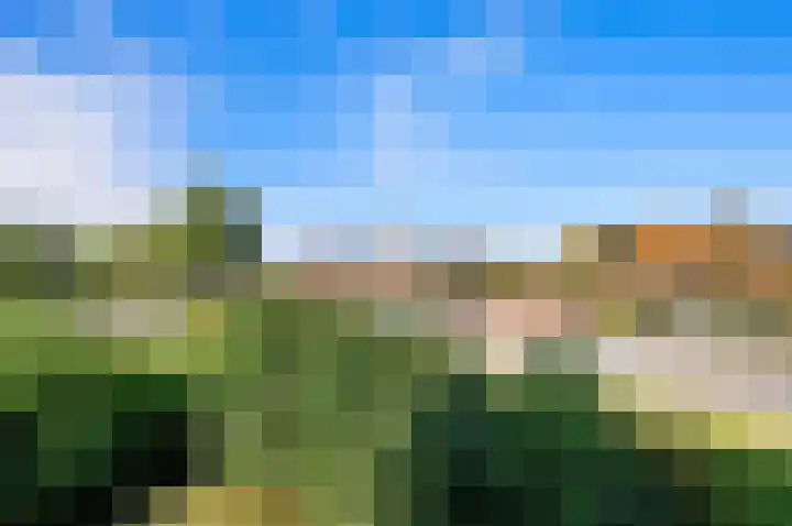 Oude Veiling 1 Den Hoorn thumbnail 48
