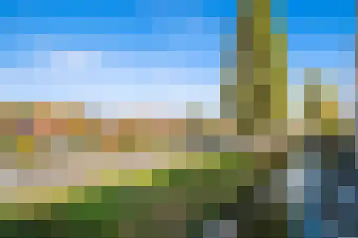 Oude Veiling 1 Den Hoorn thumbnail 49