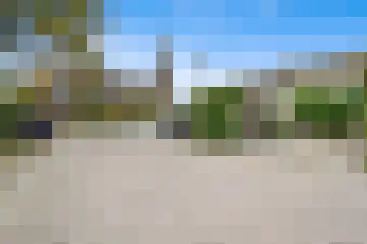 Oude Veiling 1 Den Hoorn thumbnail 5