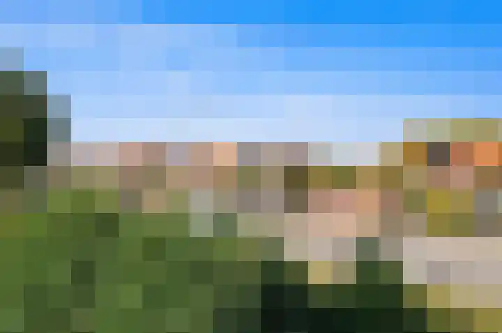 Oude Veiling 1 Den Hoorn thumbnail 50