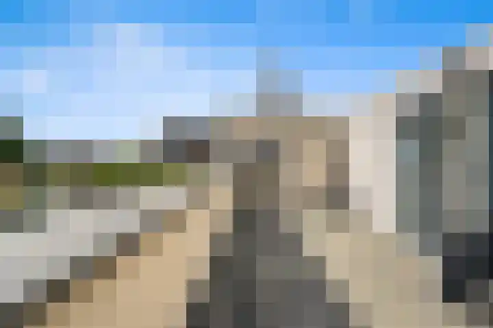 Oude Veiling 1 Den Hoorn thumbnail 61