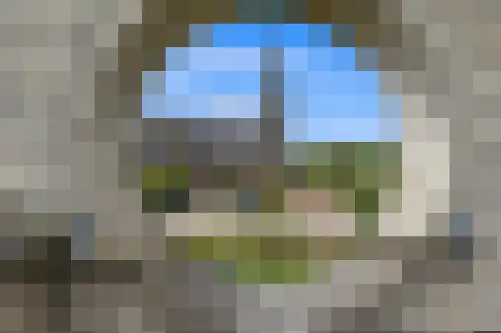 Oude Veiling 1 Den Hoorn thumbnail 62