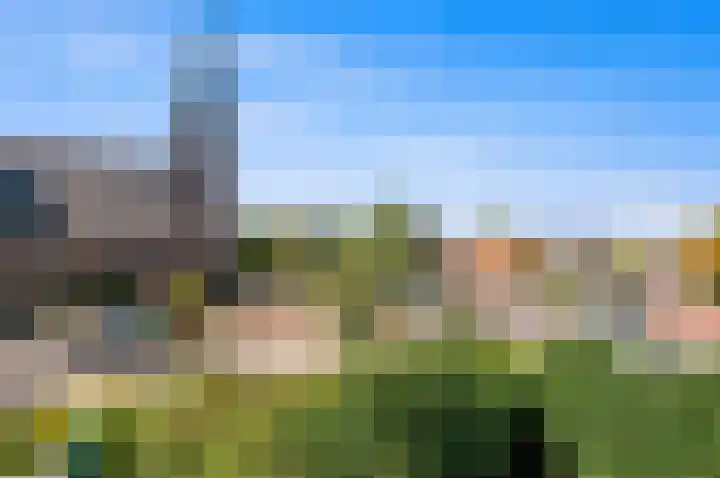 Oude Veiling 1 Den Hoorn thumbnail 63